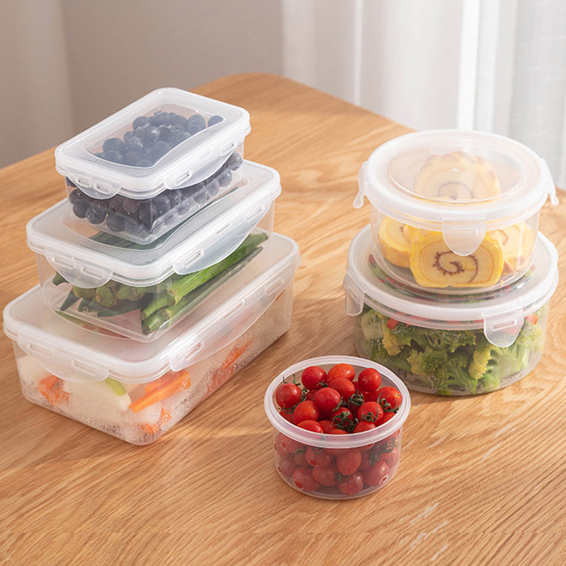 PP Bento Box Food Container Pi - Food And Snacks For Picnic review and price