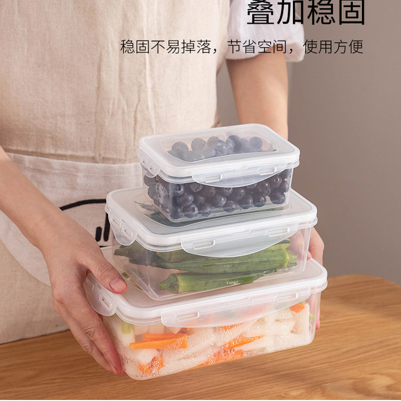 PP Bento Box Food Container Pi - Food And Snacks For Picnic review and price